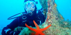 Diving and diving routes with m/y Agramer I