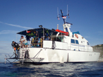 Diving North Adriatic Diving North Adriatic