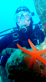 Under water life North Adriatic