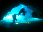 Diving in North Adriatic Diving in North Adriatic