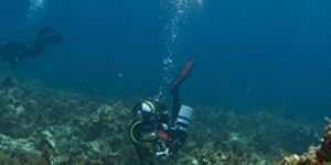 „Ionian islands“ diving tour